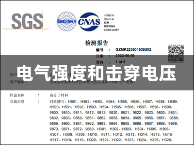 竟誠SGS檢測報告-電氣強(qiáng)度和擊穿電壓